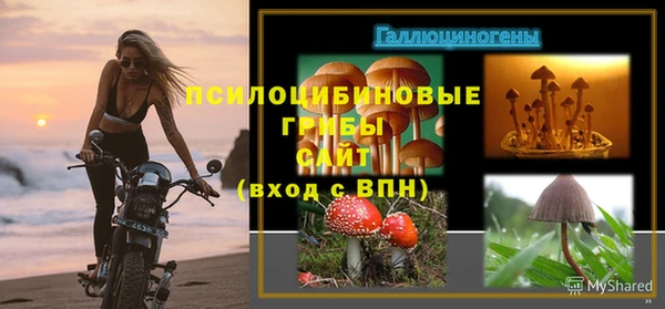 дурь Верея